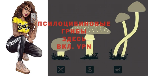 ALPHA-PVP Домодедово