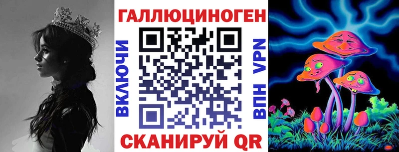 где можно купить   Ельня  Галлюциногенные грибы Psilocybine cubensis 